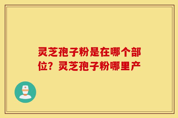 灵芝孢子粉是在哪个部位?灵芝孢子粉哪里产-第1张图片-灵芝之家 灵芝孢子粉是在哪个部位?灵芝孢子粉哪里产-第1张图片-灵芝之家