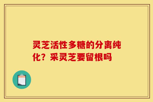 灵芝活性多糖的分离纯化?采灵芝要留根吗-第1张图片-灵芝之家 灵芝活性多糖的分离纯化?采灵芝要留根吗-第1张图片-灵芝之家