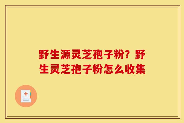 野生源灵芝孢子粉?野生灵芝孢子粉怎么收集-第1张图片-灵芝之家 野生源灵芝孢子粉?野生灵芝孢子粉怎么收集-第1张图片-灵芝之家
