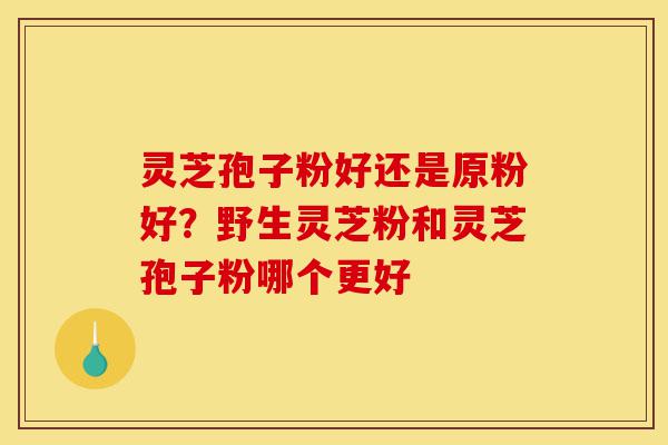 灵芝孢子粉好还是原粉好？野生灵芝粉和灵芝孢子粉哪个更好-第1张图片-灵芝之家