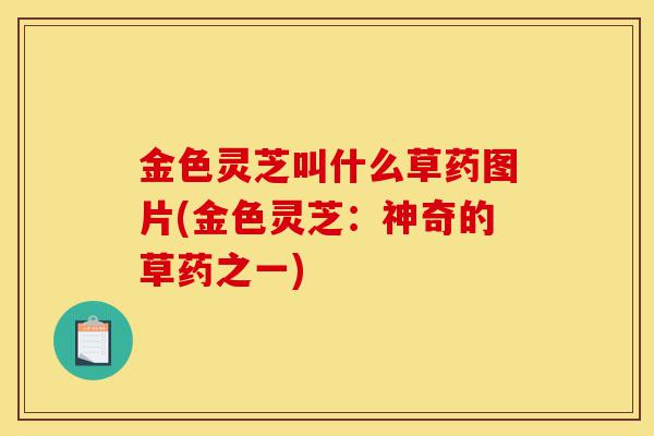 金色灵芝叫什么草药图片(金色灵芝:神奇的草药之一)-第1张图片-灵芝之家 金色灵芝叫什么草药图片(金色灵芝:神奇的草药之一)-第1张图片-灵芝之家