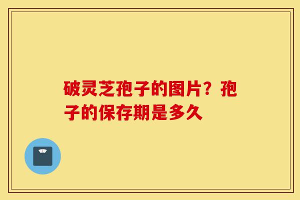 破灵芝孢子的图片?孢子的保存期是多久-第1张图片-灵芝之家 破灵芝孢子的图片?孢子的保存期是多久-第1张图片-灵芝之家