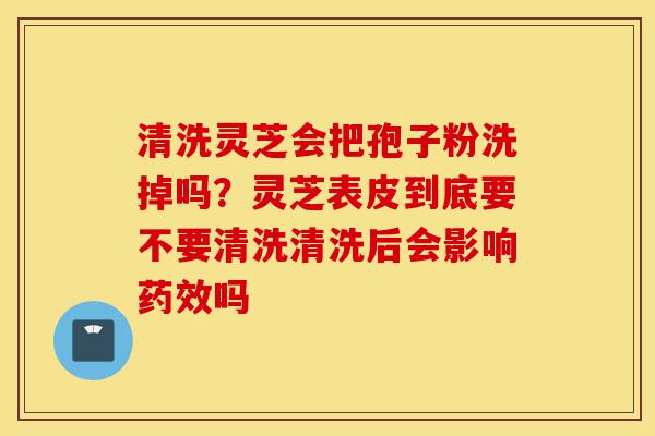 清洗灵芝会把孢子粉洗掉吗？灵芝表皮到底要不要清洗清洗后会影响药效吗-第1张图片-灵芝之家