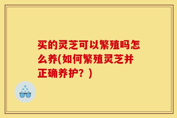 买的灵芝可以繁殖吗怎么养(如何繁殖灵芝并正确养护?)-第1张图片-灵芝之家 买的灵芝可以繁殖吗怎么养(如何繁殖灵芝并正确养护?)-第1张图片-灵芝之家