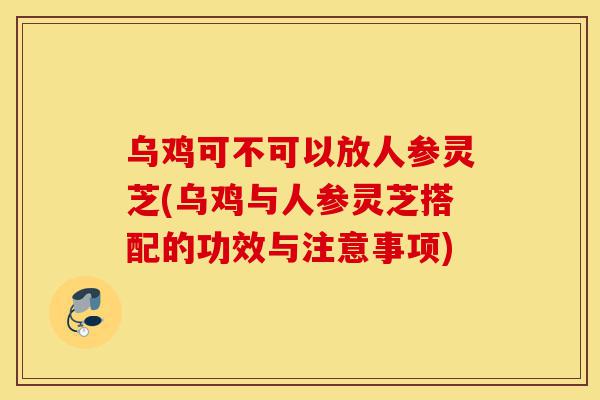 乌鸡可不可以放人参灵芝(乌鸡与人参灵芝搭配的功效与注意事项)-第1张图片-灵芝之家 乌鸡可不可以放人参灵芝(乌鸡与人参灵芝搭配的功效与注意事项)-第1张图片-灵芝之家