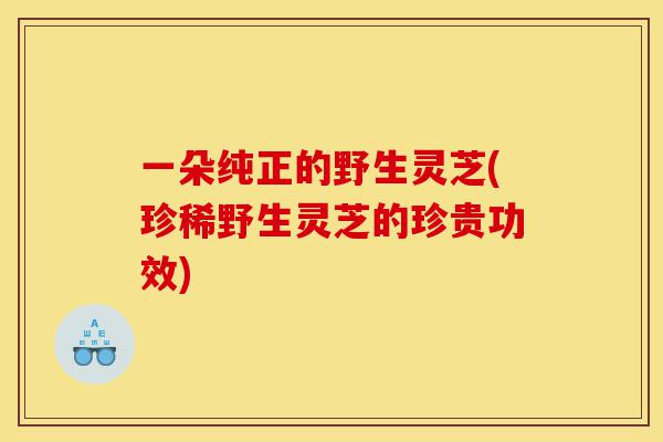 一朵纯正的野生灵芝(珍稀野生灵芝的珍贵功效)-第1张图片-灵芝之家 一朵纯正的野生灵芝(珍稀野生灵芝的珍贵功效)-第1张图片-灵芝之家