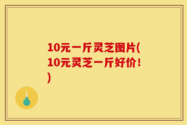 10元一斤灵芝图片(10元灵芝一斤好价!)-第1张图片-灵芝之家 10元一斤灵芝图片(10元灵芝一斤好价!)-第1张图片-灵芝之家