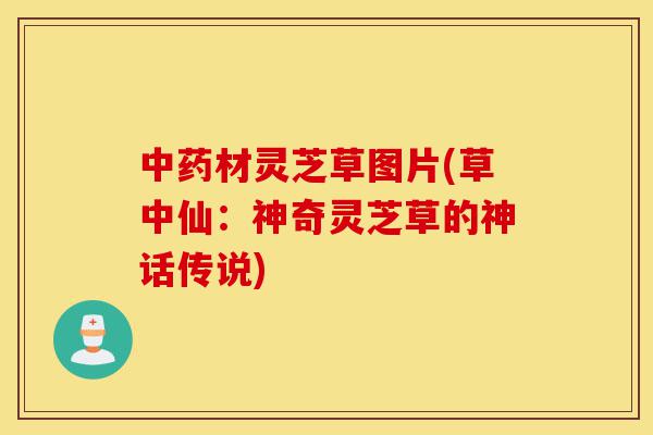 中药材灵芝草图片(草中仙:神奇灵芝草的神话传说)-第1张图片-灵芝之家 中药材灵芝草图片(草中仙:神奇灵芝草的神话传说)-第1张图片-灵芝之家