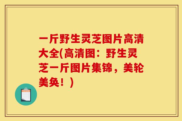 一斤野生灵芝图片高清大全(高清图：野生灵芝一斤图片集锦，美轮美奂！)-第1张图片-灵芝之家