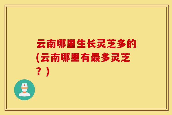 云南哪里生长灵芝多的(云南哪里有最多灵芝?)-第1张图片-灵芝之家 云南哪里生长灵芝多的(云南哪里有最多灵芝?)-第1张图片-灵芝之家