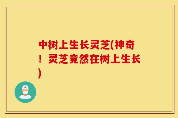 中树上生长灵芝(神奇!灵芝竟然在树上生长)-第1张图片-灵芝之家 中树上生长灵芝(神奇!灵芝竟然在树上生长)-第1张图片-灵芝之家