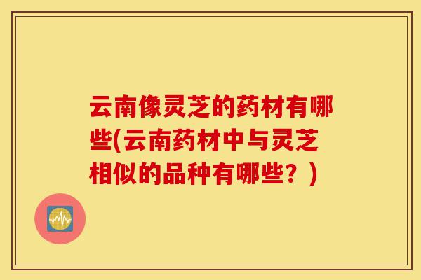 云南像灵芝的药材有哪些(云南药材中与灵芝相似的品种有哪些?)-第1张图片-灵芝之家 云南像灵芝的药材有哪些(云南药材中与灵芝相似的品种有哪些?)-第1张图片-灵芝之家