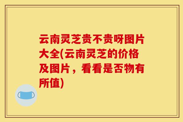 云南灵芝贵不贵呀图片大全(云南灵芝的价格及图片,看看是否物有所值)-第1张图片-灵芝之家 云南灵芝贵不贵呀图片大全(云南灵芝的价格及图片,看看是否物有所值)-第1张图片-灵芝之家