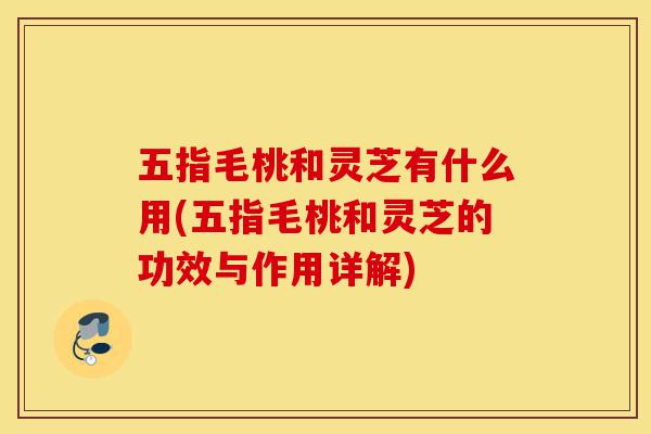 五指毛桃和灵芝有什么用(五指毛桃和灵芝的功效与作用详解)-第1张图片-灵芝之家 五指毛桃和灵芝有什么用(五指毛桃和灵芝的功效与作用详解)-第1张图片-灵芝之家