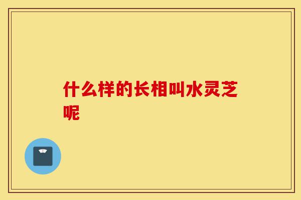 什么样的长相叫水灵芝呢-第1张图片-灵芝之家 什么样的长相叫水灵芝呢-第1张图片-灵芝之家