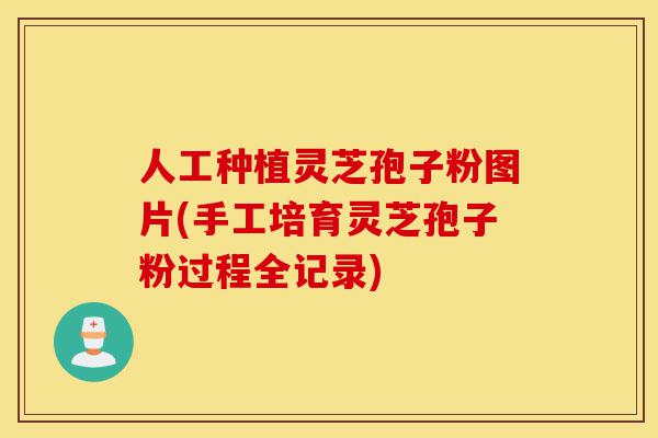 人工种植灵芝孢子粉图片(手工培育灵芝孢子粉过程全记录)-第1张图片-灵芝之家 人工种植灵芝孢子粉图片(手工培育灵芝孢子粉过程全记录)-第1张图片-灵芝之家