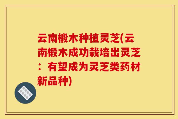 云南椴木种植灵芝(云南椴木成功栽培出灵芝:有望成为灵芝类药材新品种)-第1张图片-灵芝之家 云南椴木种植灵芝(云南椴木成功栽培出灵芝:有望成为灵芝类药材新品种)-第1张图片-灵芝之家