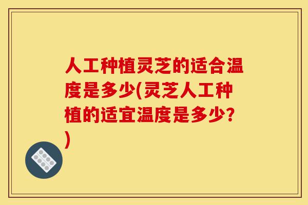 人工种植灵芝的适合温度是多少(灵芝人工种植的适宜温度是多少?)-第1张图片-灵芝之家 人工种植灵芝的适合温度是多少(灵芝人工种植的适宜温度是多少?)-第1张图片-灵芝之家