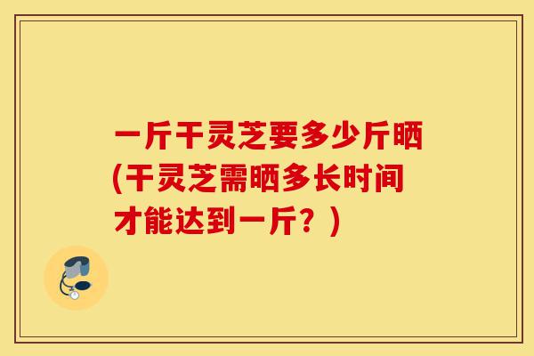一斤干灵芝要多少斤晒(干灵芝需晒多长时间才能达到一斤?)-第1张图片-灵芝之家 一斤干灵芝要多少斤晒(干灵芝需晒多长时间才能达到一斤?)-第1张图片-灵芝之家