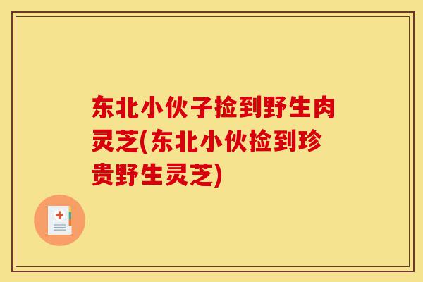 东北小伙子捡到野生肉灵芝(东北小伙捡到珍贵野生灵芝)-第1张图片-灵芝之家 东北小伙子捡到野生肉灵芝(东北小伙捡到珍贵野生灵芝)-第1张图片-灵芝之家