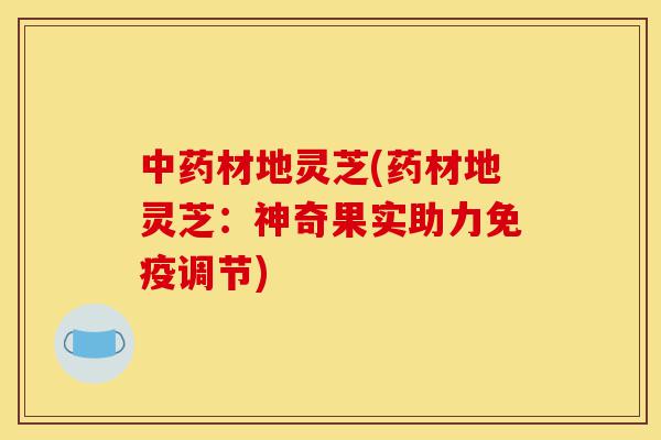 中药材地灵芝(药材地灵芝：神奇果实助力免疫调节)-第1张图片-灵芝之家