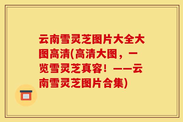 云南雪灵芝图片大全大图高清(高清大图，一览雪灵芝真容！——云南雪灵芝图片合集)-第1张图片-灵芝之家