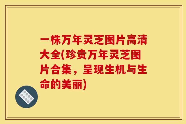 一株万年灵芝图片高清大全(珍贵万年灵芝图片合集,呈现生机与生命的美丽)-第1张图片-灵芝之家 一株万年灵芝图片高清大全(珍贵万年灵芝图片合集,呈现生机与生命的美丽)-第1张图片-灵芝之家