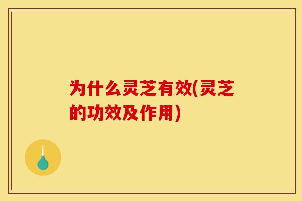 为什么灵芝有效(灵芝的功效及作用)-第1张图片-灵芝之家 为什么灵芝有效(灵芝的功效及作用)-第1张图片-灵芝之家