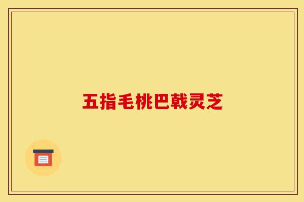 五指毛桃巴戟灵芝-第1张图片-灵芝之家 五指毛桃巴戟灵芝-第1张图片-灵芝之家