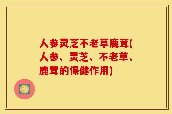 人参灵芝不老草鹿茸(人参、灵芝、不老草、鹿茸的保健作用)-第1张图片-灵芝之家