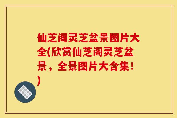 仙芝阁灵芝盆景图片大全(欣赏仙芝阁灵芝盆景,全景图片大合集!)-第1张图片-灵芝之家 仙芝阁灵芝盆景图片大全(欣赏仙芝阁灵芝盆景,全景图片大合集!)-第1张图片-灵芝之家