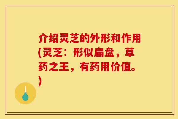 介绍灵芝的外形和作用(灵芝:形似扁盘,草药之王,有药用价值。)-第1张图片-灵芝之家 介绍灵芝的外形和作用(灵芝:形似扁盘,草药之王,有药用价值。)-第1张图片-灵芝之家