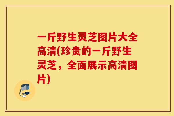 一斤野生灵芝图片大全高清(珍贵的一斤野生灵芝,全面展示高清图片)-第1张图片-灵芝之家 一斤野生灵芝图片大全高清(珍贵的一斤野生灵芝,全面展示高清图片)-第1张图片-灵芝之家