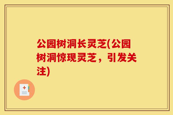 公园树洞长灵芝(公园树洞惊现灵芝，引发关注)-第1张图片-灵芝之家