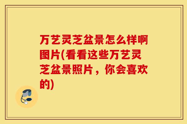 万艺灵芝盆景怎么样啊图片(看看这些万艺灵芝盆景照片,你会喜欢的)-第1张图片-灵芝之家 万艺灵芝盆景怎么样啊图片(看看这些万艺灵芝盆景照片,你会喜欢的)-第1张图片-灵芝之家