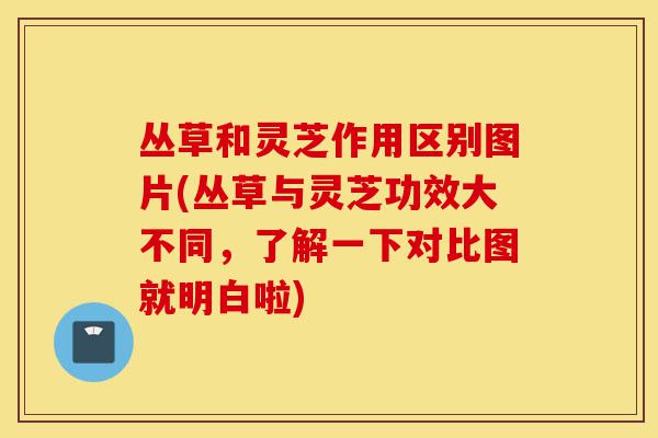 丛草和灵芝作用区别图片(丛草与灵芝功效大不同,了解一下对比图就明白啦)-第1张图片-灵芝之家 丛草和灵芝作用区别图片(丛草与灵芝功效大不同,了解一下对比图就明白啦)-第1张图片-灵芝之家