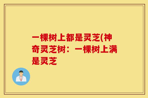 一棵树上都是灵芝(神奇灵芝树:一棵树上满是灵芝-第1张图片-灵芝之家 一棵树上都是灵芝(神奇灵芝树:一棵树上满是灵芝-第1张图片-灵芝之家