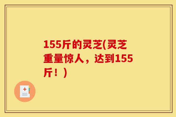 155斤的灵芝(灵芝重量惊人,达到155斤!)-第1张图片-灵芝之家 155斤的灵芝(灵芝重量惊人,达到155斤!)-第1张图片-灵芝之家