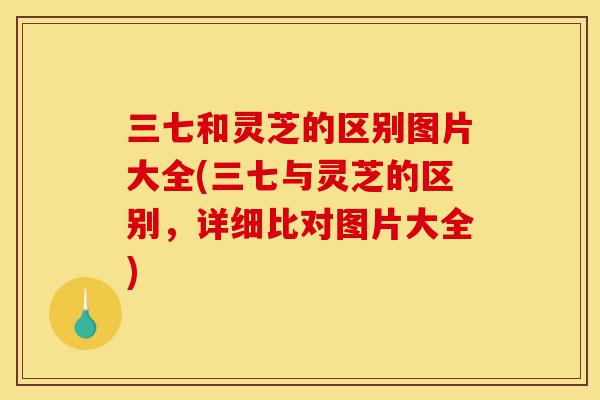 三七和灵芝的区别图片大全(三七与灵芝的区别，详细比对图片大全)-第1张图片-灵芝之家