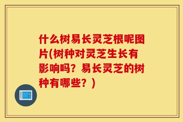 什么树易长灵芝根呢图片(树种对灵芝生长有影响吗?易长灵芝的树种有哪些?)-第1张图片-灵芝之家 什么树易长灵芝根呢图片(树种对灵芝生长有影响吗?易长灵芝的树种有哪些?)-第1张图片-灵芝之家