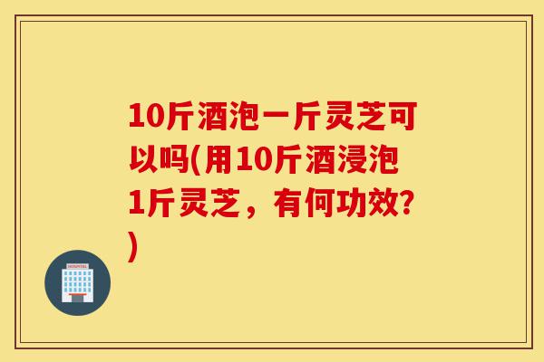10斤酒泡一斤灵芝可以吗(用10斤酒浸泡1斤灵芝,有何功效?)-第1张图片-灵芝之家 10斤酒泡一斤灵芝可以吗(用10斤酒浸泡1斤灵芝,有何功效?)-第1张图片-灵芝之家