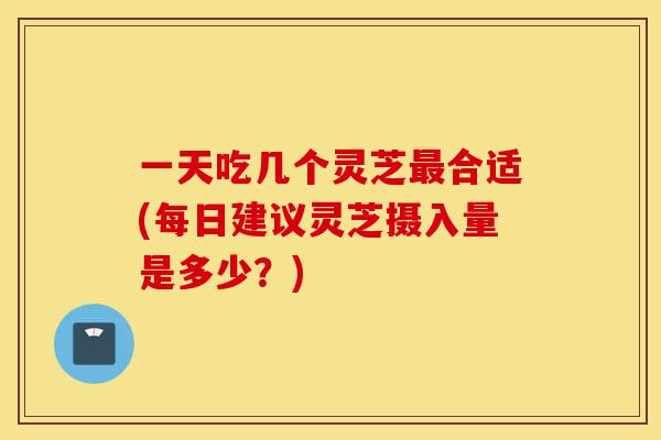 一天吃几个灵芝最合适(每日建议灵芝摄入量是多少?)-第1张图片-灵芝之家 一天吃几个灵芝最合适(每日建议灵芝摄入量是多少?)-第1张图片-灵芝之家