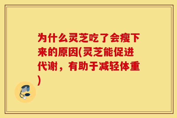 为什么灵芝吃了会瘦下来的原因(灵芝能促进代谢,有助于减轻体重)-第1张图片-灵芝之家 为什么灵芝吃了会瘦下来的原因(灵芝能促进代谢,有助于减轻体重)-第1张图片-灵芝之家