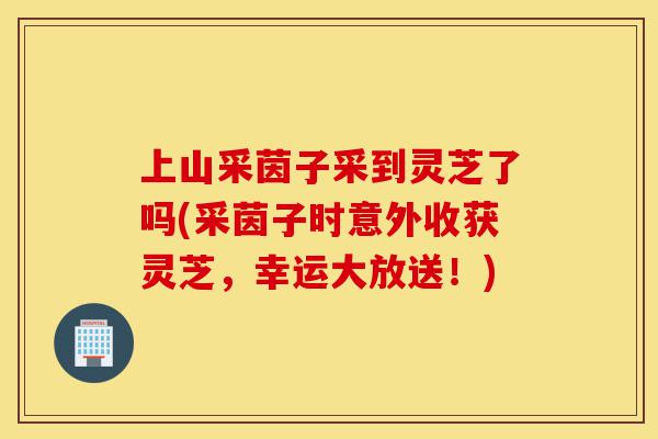 上山采茵子采到灵芝了吗(采茵子时意外收获灵芝,幸运大放送!)-第1张图片-灵芝之家 上山采茵子采到灵芝了吗(采茵子时意外收获灵芝,幸运大放送!)-第1张图片-灵芝之家