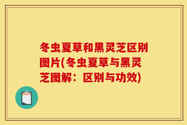 冬虫夏草和黑灵芝区别图片(冬虫夏草与黑灵芝图解:区别与功效)-第1张图片-灵芝之家 冬虫夏草和黑灵芝区别图片(冬虫夏草与黑灵芝图解:区别与功效)-第1张图片-灵芝之家