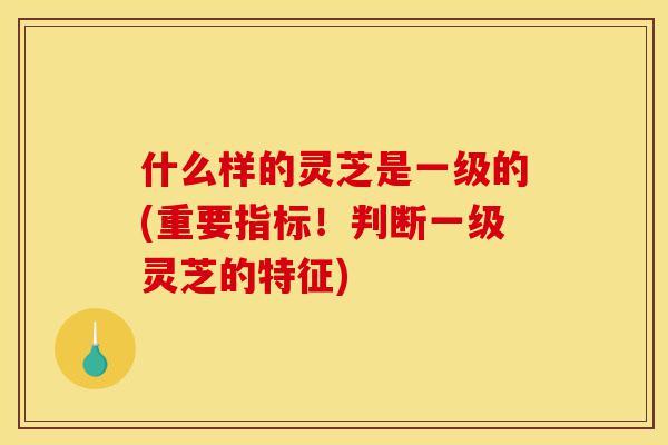 什么样的灵芝是一级的(重要指标!判断一级灵芝的特征)-第1张图片-灵芝之家 什么样的灵芝是一级的(重要指标!判断一级灵芝的特征)-第1张图片-灵芝之家