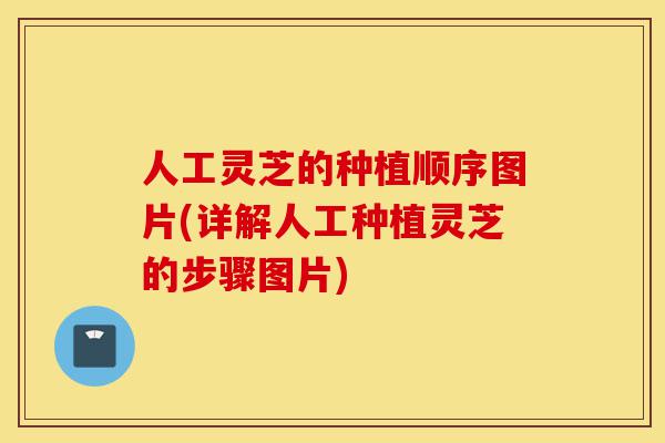 人工灵芝的种植顺序图片(详解人工种植灵芝的步骤图片)-第1张图片-灵芝之家
