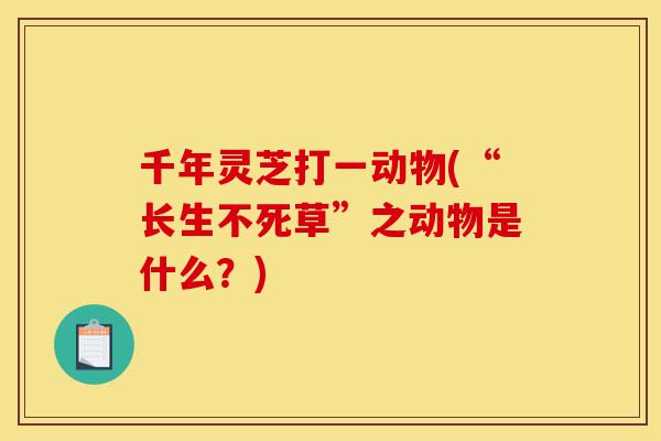 千年灵芝打一动物(“长生不死草”之动物是什么？)-第1张图片-灵芝之家
