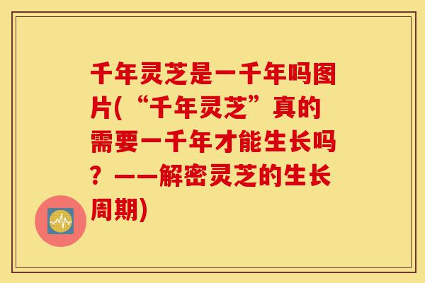 千年灵芝是一千年吗图片(“千年灵芝”真的需要一千年才能生长吗?——解密灵芝的生长周期)-第1张图片-灵芝之家 千年灵芝是一千年吗图片(“千年灵芝”真的需要一千年才能生长吗?——解密灵芝的生长周期)-第1张图片-灵芝之家