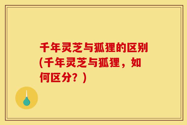千年灵芝与狐狸的区别(千年灵芝与狐狸,如何区分?)-第1张图片-灵芝之家 千年灵芝与狐狸的区别(千年灵芝与狐狸,如何区分?)-第1张图片-灵芝之家